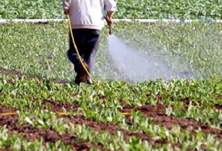 Aποζημιώσεις απο τον ΕΛΓΑ για αγρότες και κτηνοτρόφους της Ηλείας