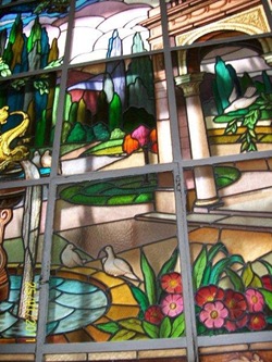 Cãonhecendo 2 (296)