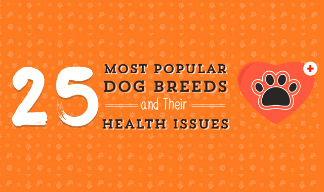 Most Popular Dog Breeds and Their Natural Health Problems