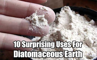 Diatomaceous Earth is Amazing. Here's 10 Surprising Uses