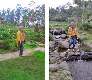 taman bunga dan sungai kecil di Dusun Bambu