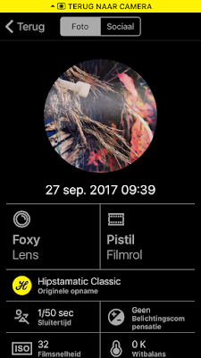 Screenshot Hipstamatic-instellingen Foxy + Pistil