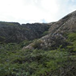 View album