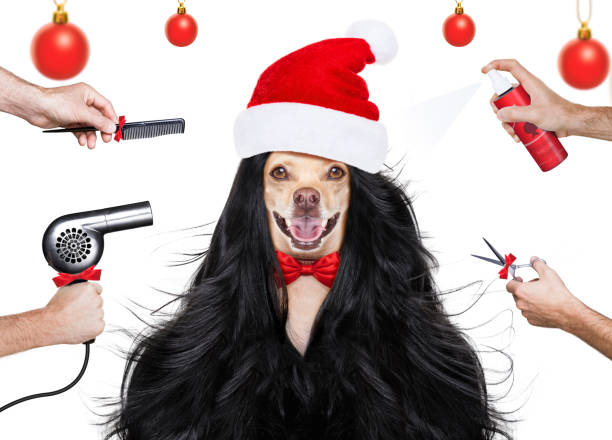 7 Gaya  Rambut  Mudah Untuk  Acara Hari Natal  Informasi Terbaru