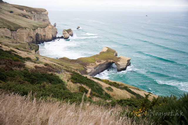 dunedin, 坦尼丁, tunnel beach