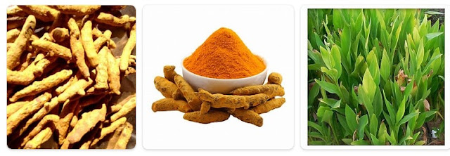 Good Quality of Turmeric in India - Export Quality