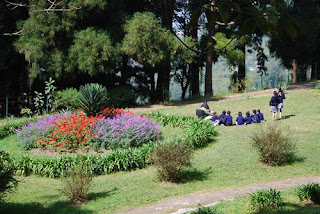 Lloyd's Botanical Garden Darjeeling