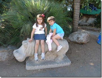 Zoo 005