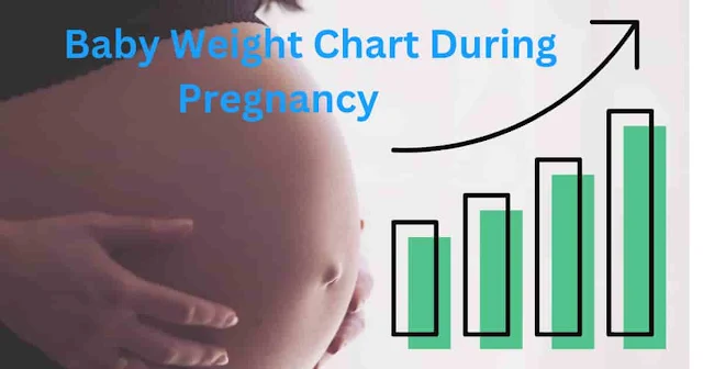Baby-Weight-Chart-During-Pregnancy