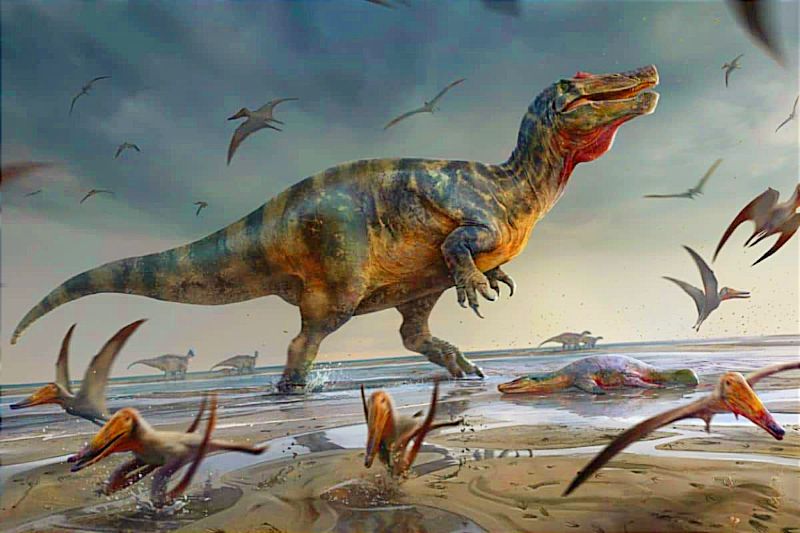 El dinosaurio carnívoro más grande que existió en Europa