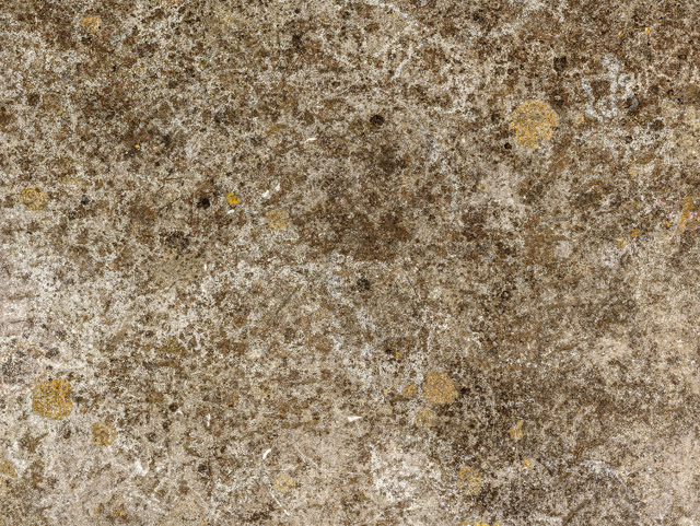 Stone whitish texture