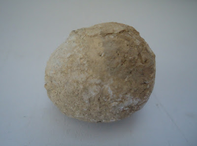 Fossil Tortoise/Turtle egg 