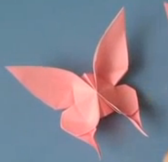  Kreasi membuat kupu kupu dari kertas origami Informasi 
