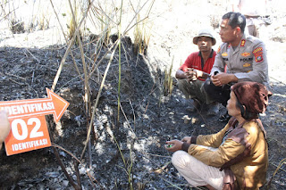 Dua Pelaku Pembakaran Hutan di Kabupaten Samosir Ditangkap