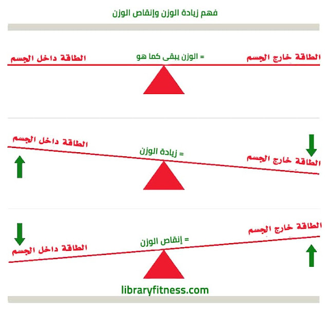 فهم كيفية عمل زيادة الوزن وفقدانه