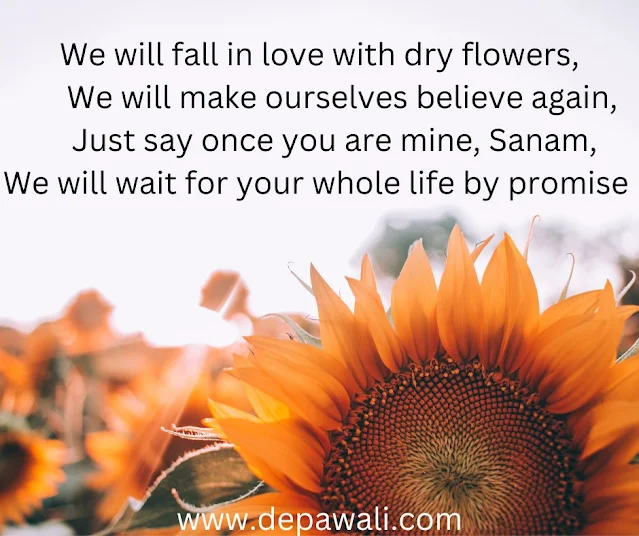 Love quotes in hindi English