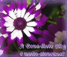 selinho1[1]