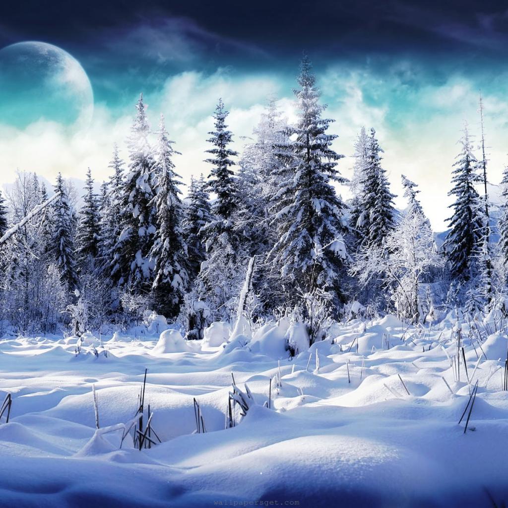 iPad Wallpapers: Free Download 2012 Christmas Winter Wallpapers for ...