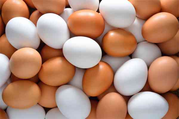 Resep Olahan Telur Paling Populer