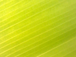 green leaf