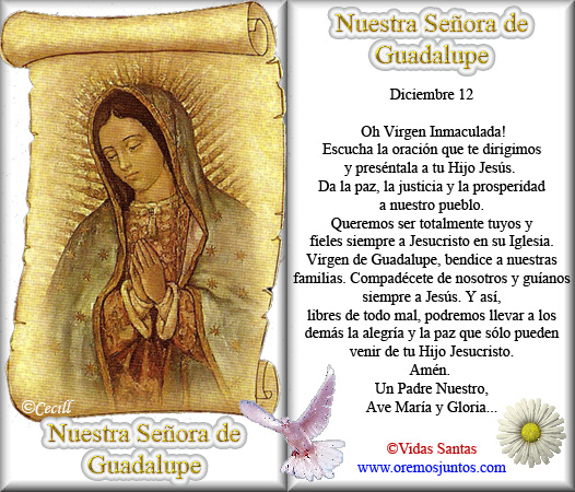 Resultado de imagen de virgen de guadalupe oracion