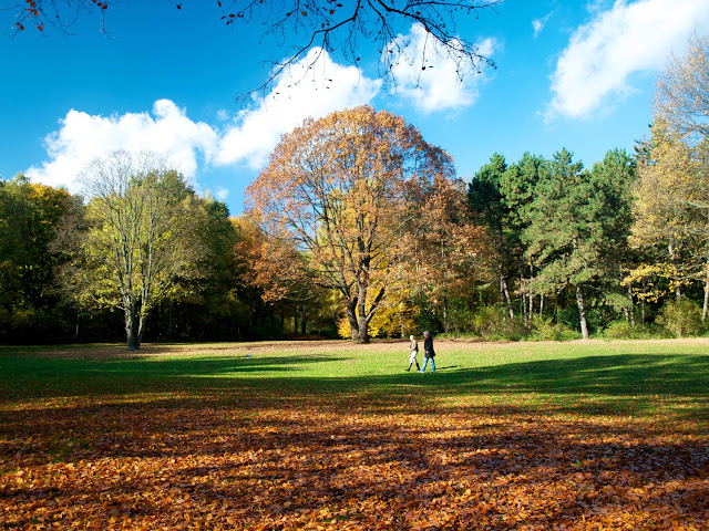 Caminando por Tiergarten