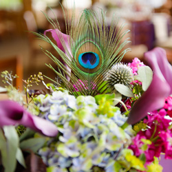 Jason Mann Photography. Peacock Inspired wedding.