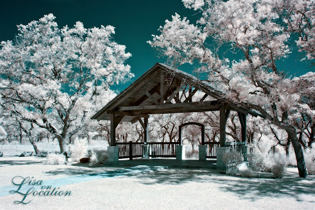 Boulder Springs, New Braunfels, wedding venues, wedding photography, Austin, San Antonio, San Marcos, infrared wedding photography