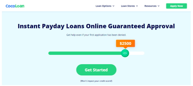Explain The Workings Of Instant Payday Loans Online Guaranteed Approval