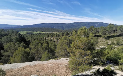 Buitreras del barranc del Cint, Parque Natural de la Sierra Mariola.