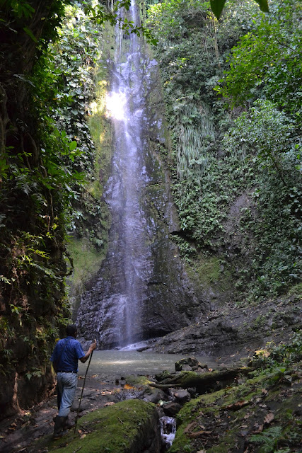 A tall jungle waterfall, near Cuervito, Costa Rica