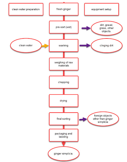 Simplicia Ginger Processing Flow Chart.