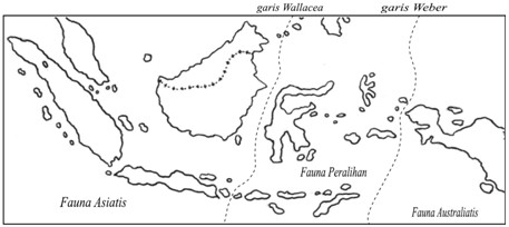 Pembagian Fauna Menurut Weber