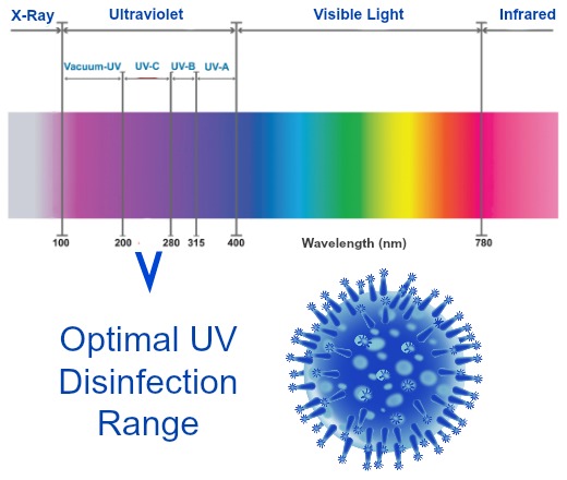 Dosis Ultraviolet