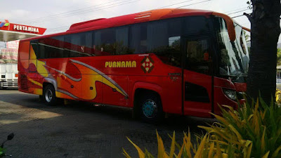 Gambar Foto Bis Purnama Merah Scorpion King Pariwisata