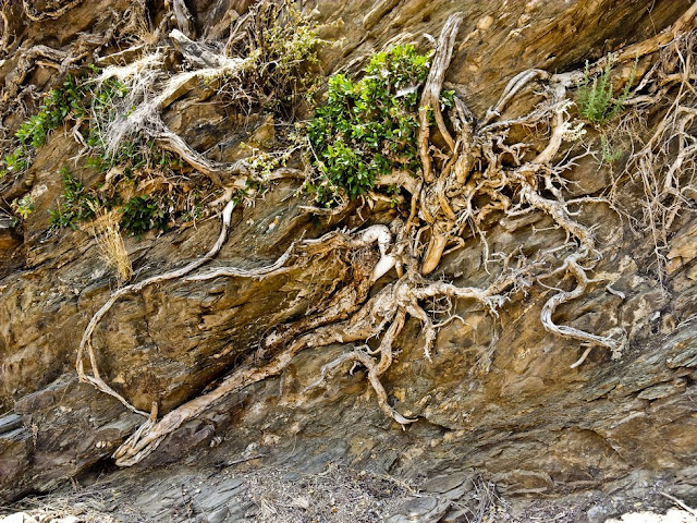 Daan Viljoen National Park Namibia