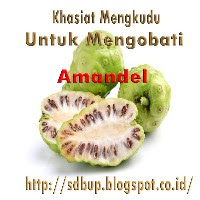 obat herbal untuk mengobati amandel