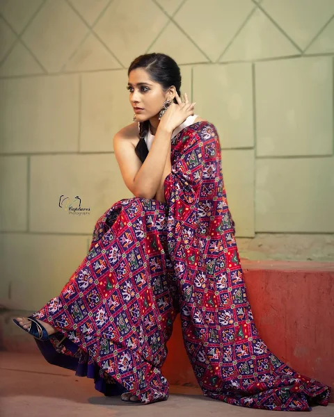 TV Anchor Model Rashmi Gautam Photo Shoot In floral Saree