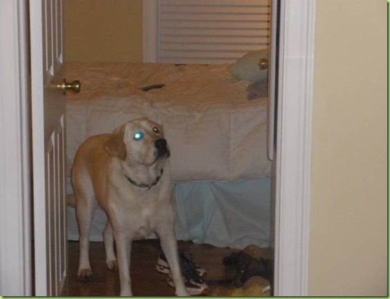 clip_image020