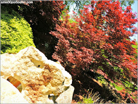 Dallas Arboretum & Botanical Garden: Nancy Rutchik Red Maple Rill