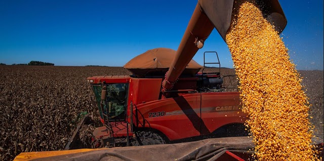 Produção agropecuária do Brasil alimenta 1 bilhão de pessoas no mundo