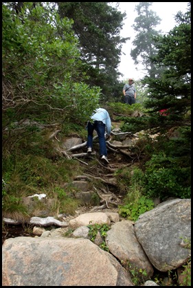 Focus on Acadia ranger talk 069