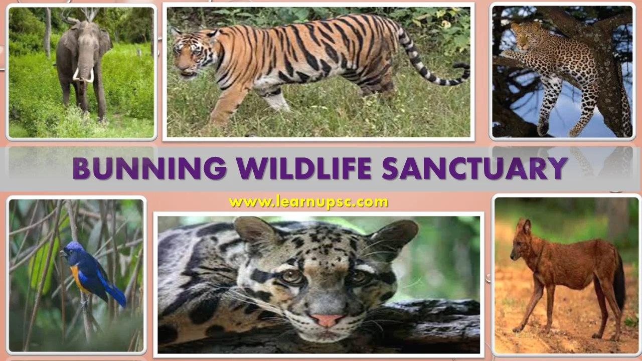 Bunning Wildlife Sanctuary