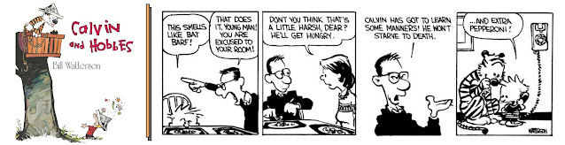 Calvin & Hobbes Sunday Funnies #11 2023-July-26