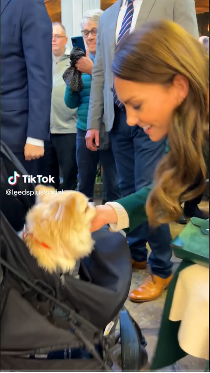 Kate Middleton meets with Casper the Chihuahua