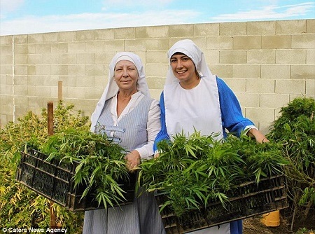 Meet the Reverend Sisters Growing and Selling Marijuana for a Living (Photos)