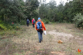 Curs de GPS i mapes digitals