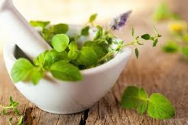 Sehat dengan cara yang alami yaitu Pengobatan herbal