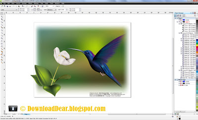 CorelDRAW-Graphics-Suite-X5-Full-Screenshot