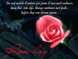   Latest HD Rose Day Quote IMAGES Pics, wallpapers free download 51